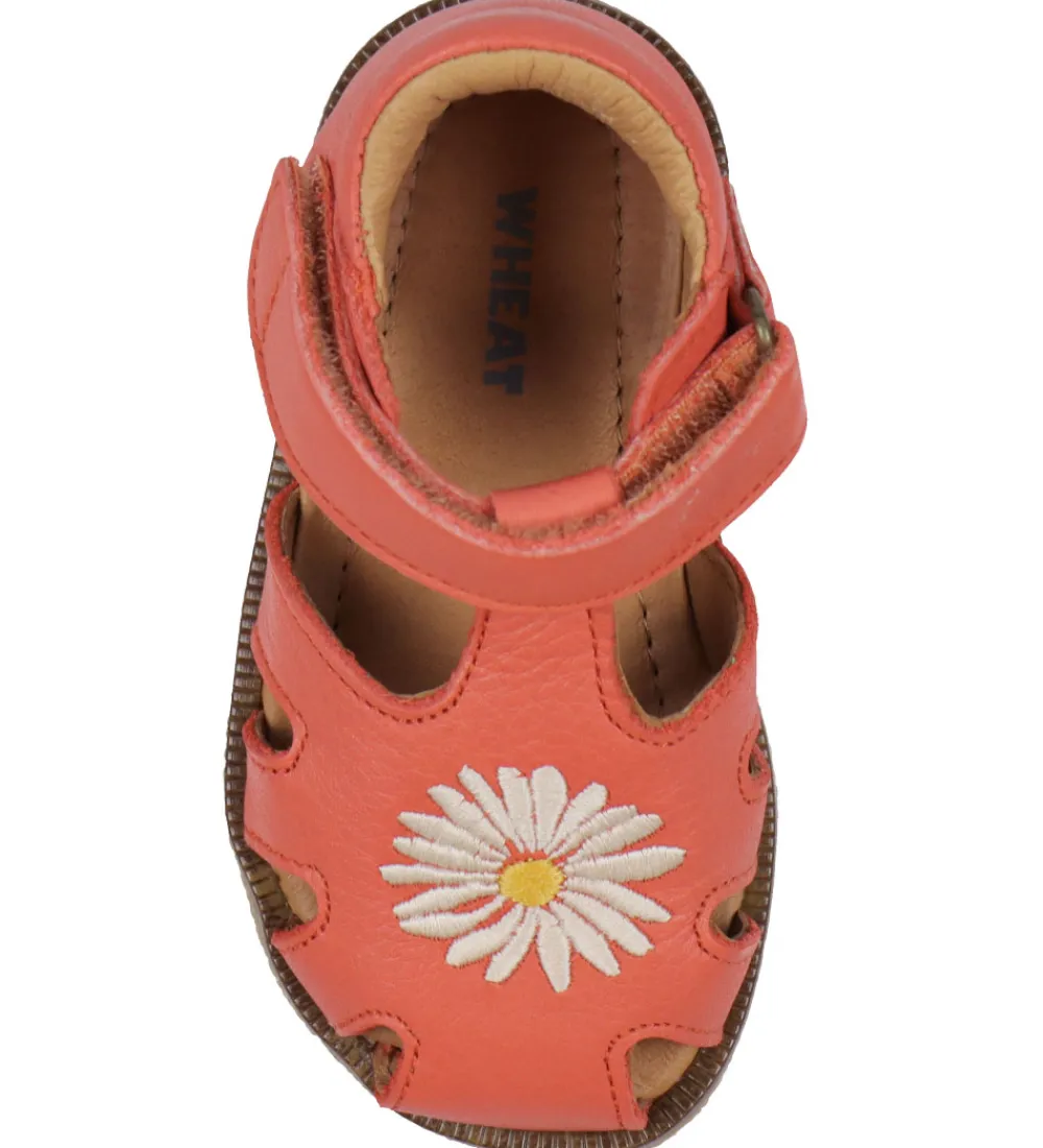 Wheat Sandaler*Sandaler - Lowe - Coral