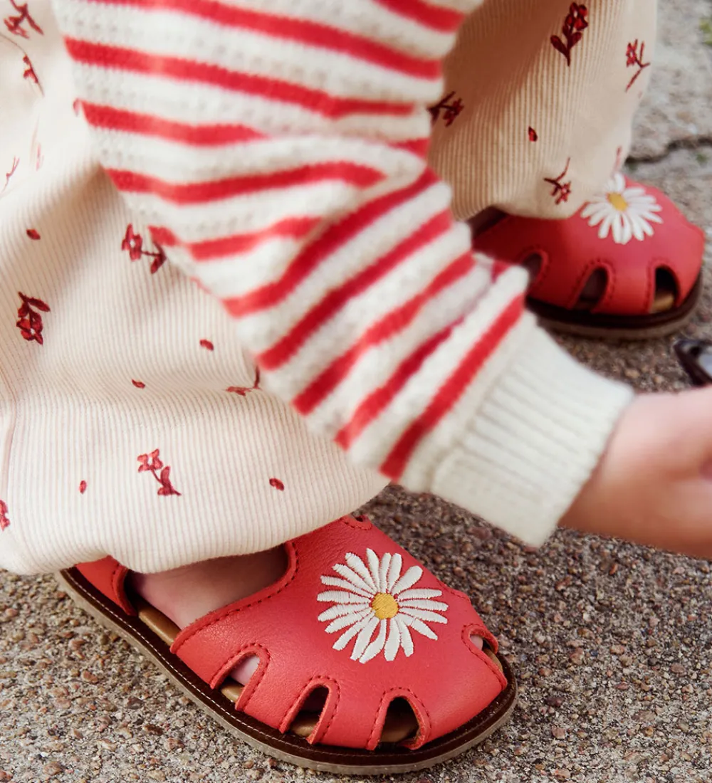 Wheat Sandaler*Sandaler - Lowe - Coral