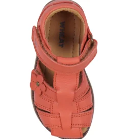 Wheat Sandaler*Sandaler - Sky - Coral